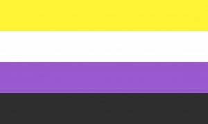 nonbinary flag agender definition