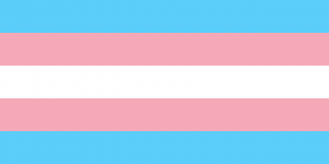 transgender flag nonbinary agender