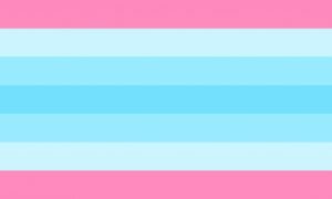 transmasculine pride flag