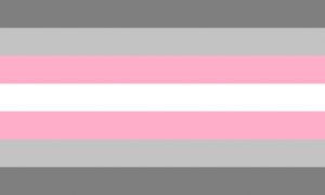 demigirl pride flag