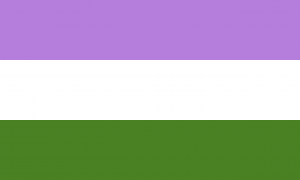 Genderqueer pride flag