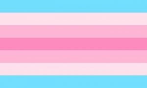 transfeminine pride flag