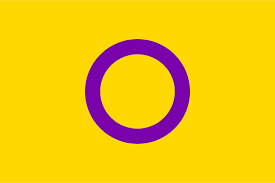 intersex pride flag