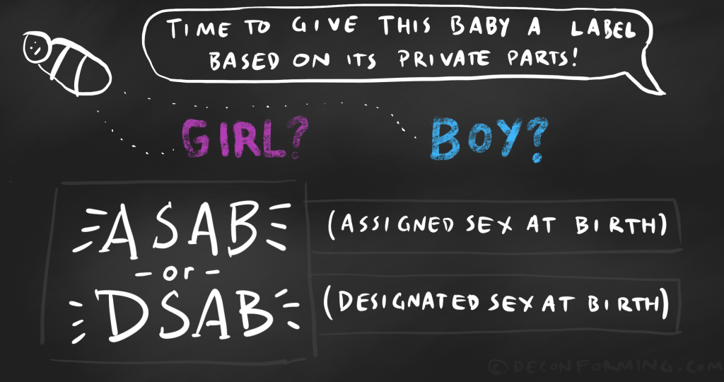 asab vs dsab assigned sex