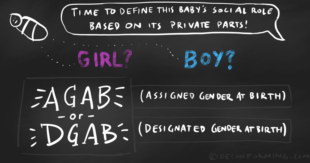 agab vs dgab assigned gender