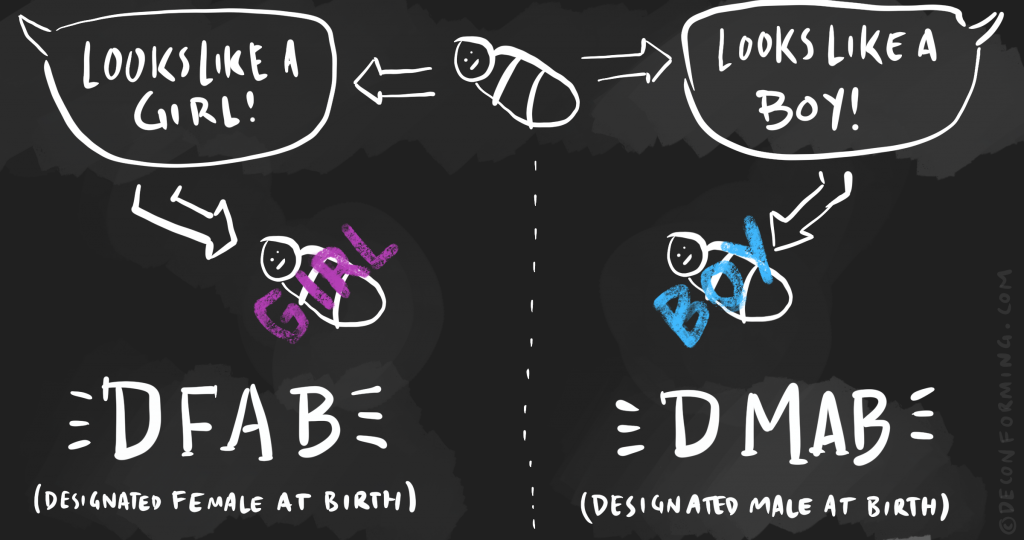 dfab vs dmab gender illustration