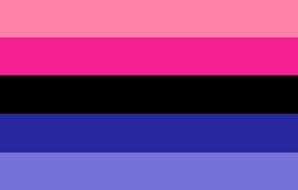 omnisexual-flag-1024x653.jpg